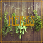 Herbs