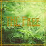 THC Free