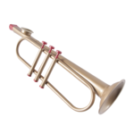 Unknown Metal Trumpet Kazoo