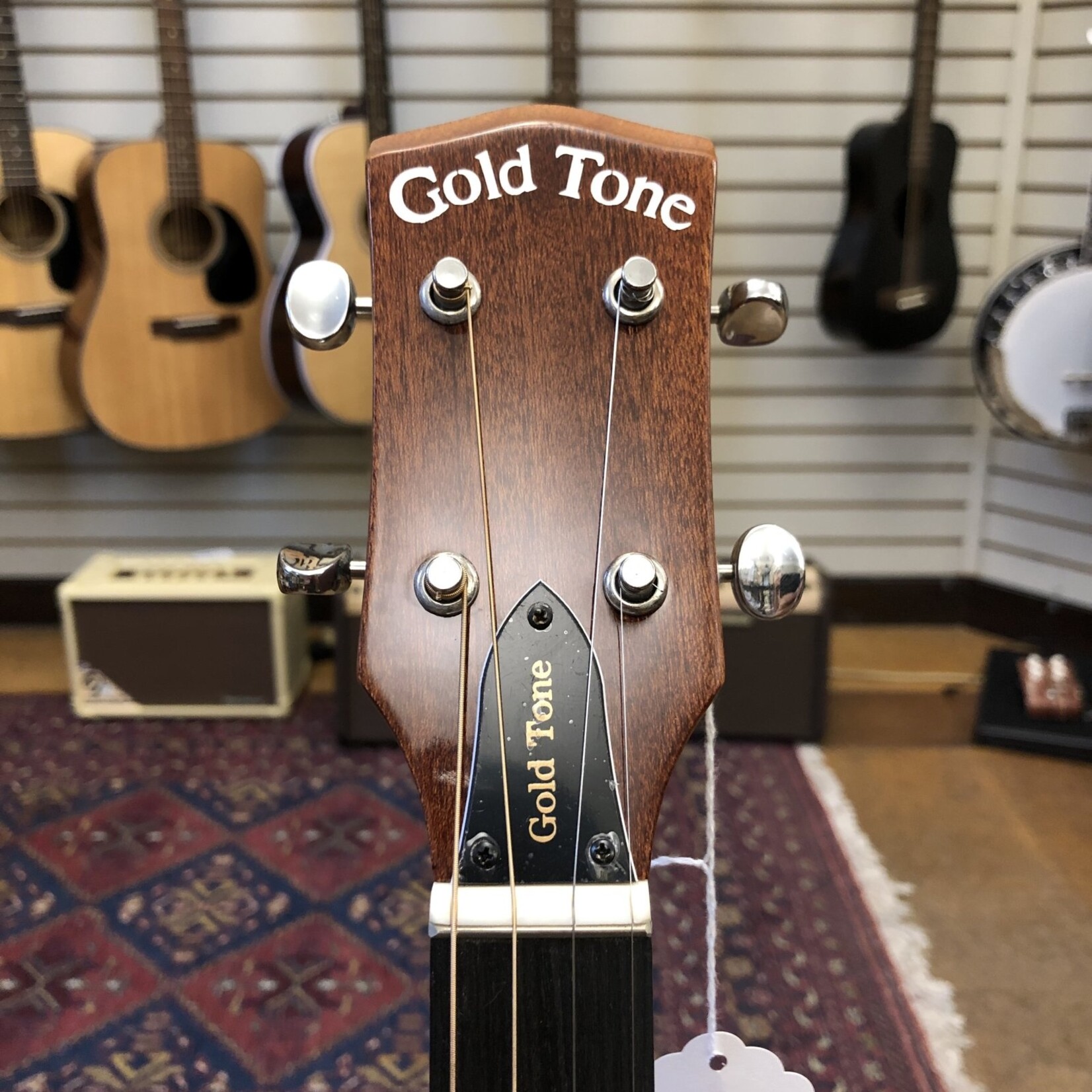 Gold Tone Gold Tone TG-10 Tenor Acoustic Guitar w/Padded Gig Bag