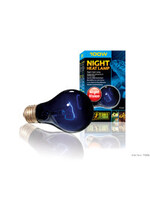 Exo Terra Exo Terra - Night Heat Lamp 100 watt