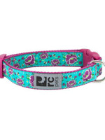 RC Pets Products RC Pets - Clip Collar All the Buzz Large 1"