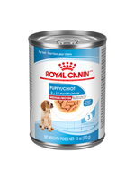 Royal Canin Royal Canin - SHN Puppy Medium Slices in Gravy 13 oz