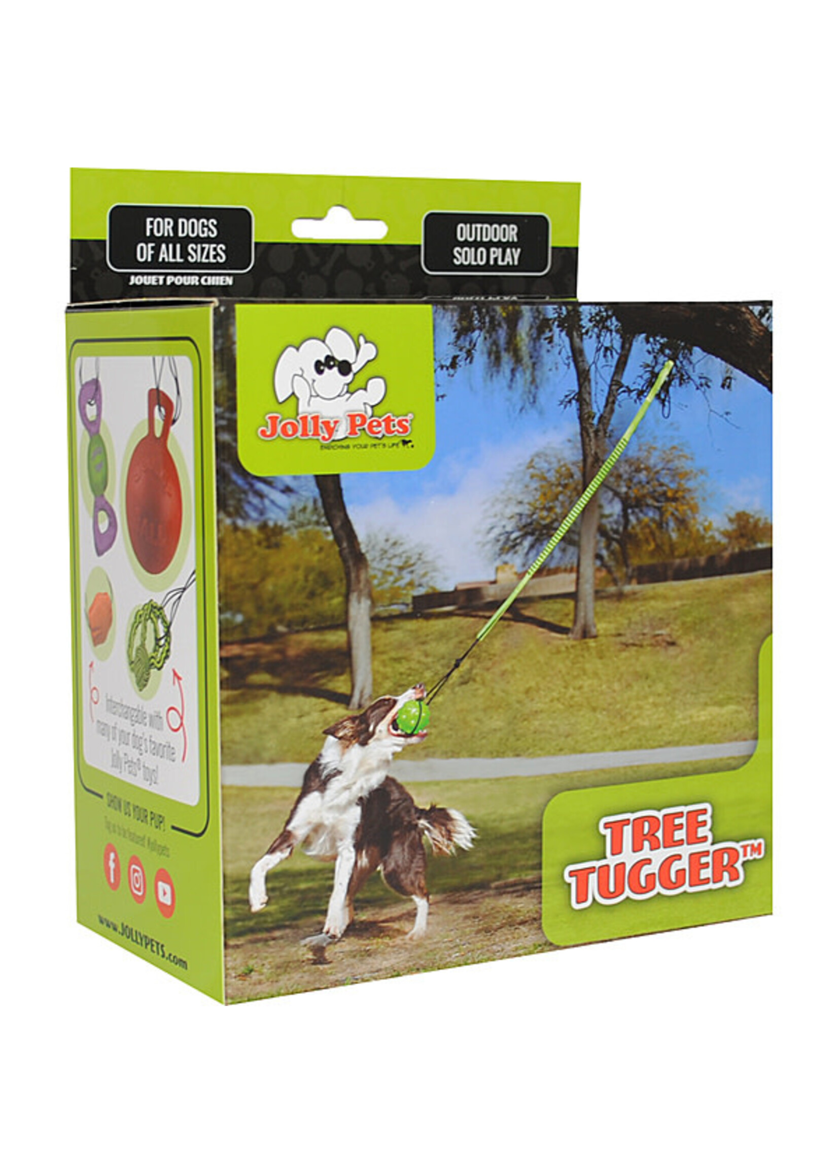 Jolly Pets Jolly Pets - Tree Tugger Green