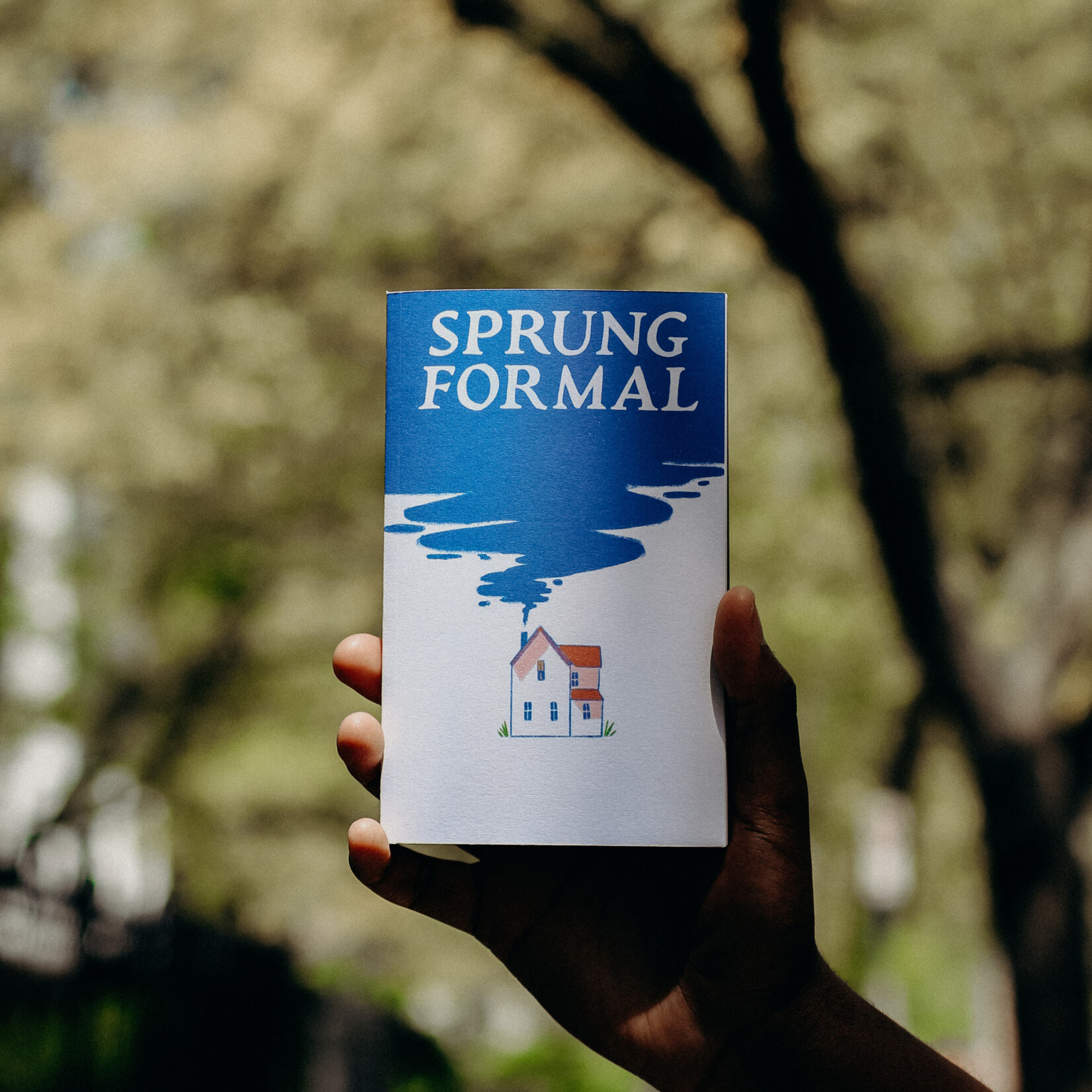 Liberal Arts Sprung Formal Issue 18