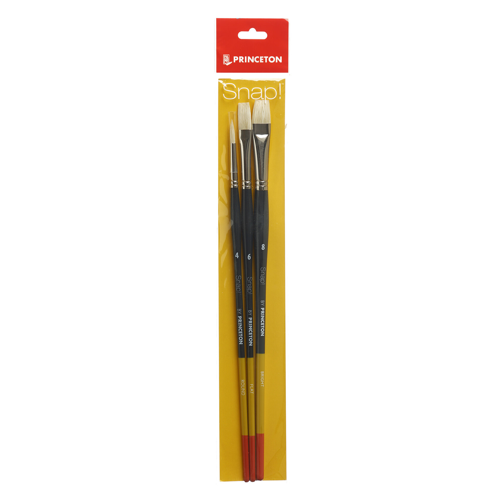 Princeton Princeton Snap Brush Set