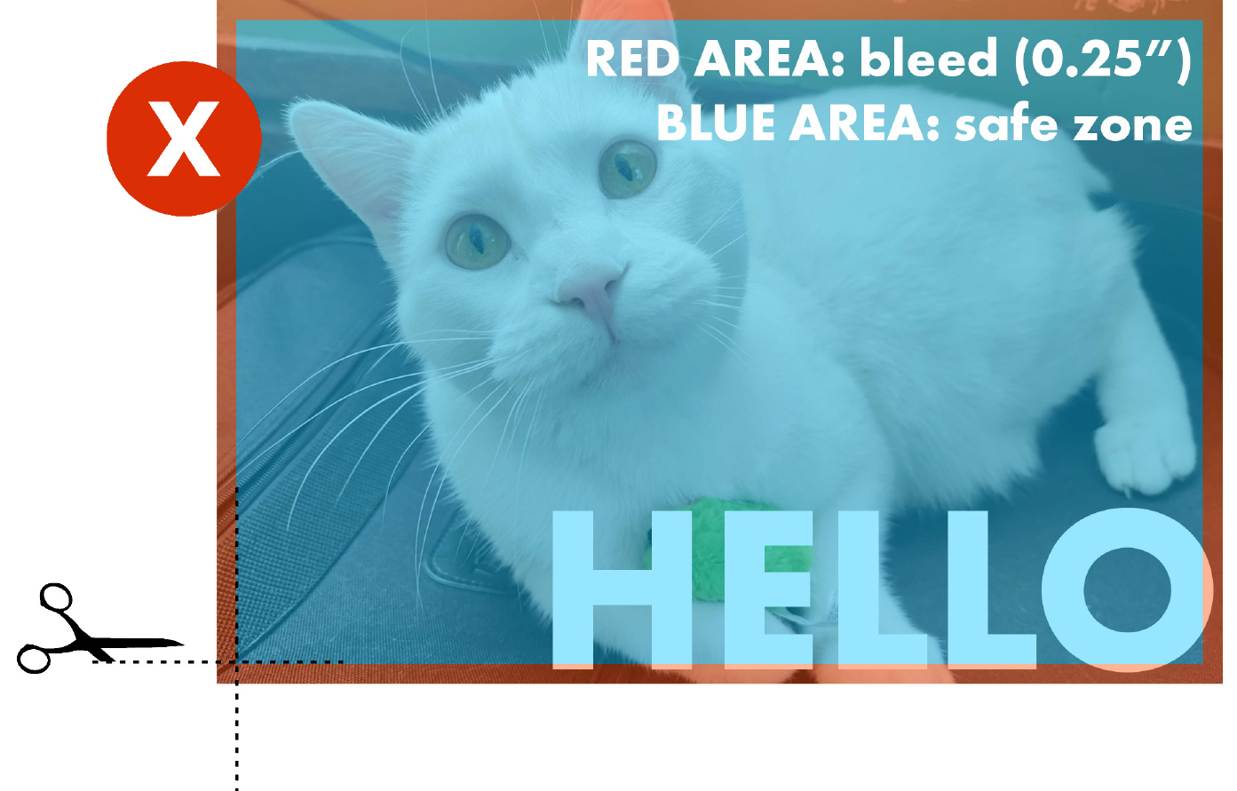Bleed- Incorrect!