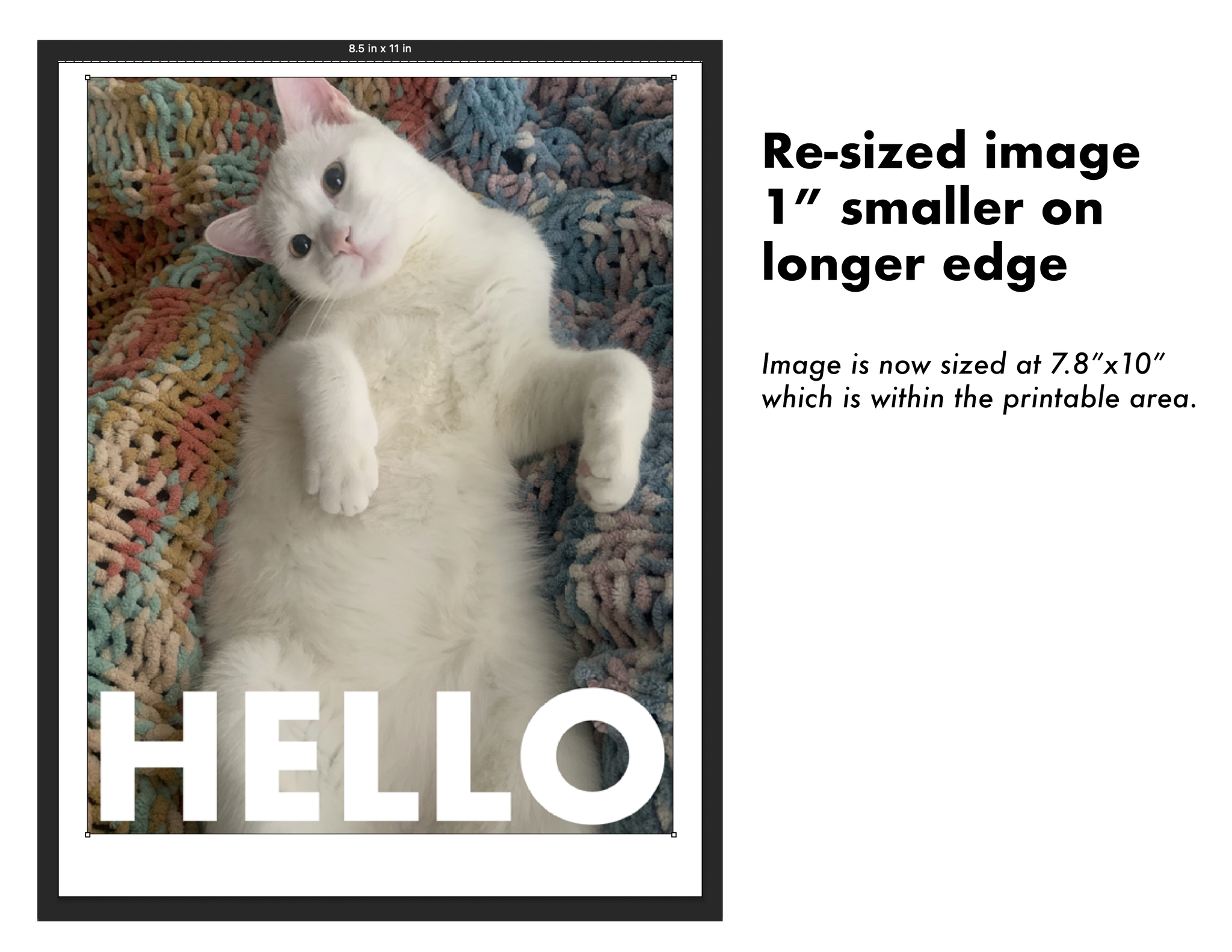 Resized image