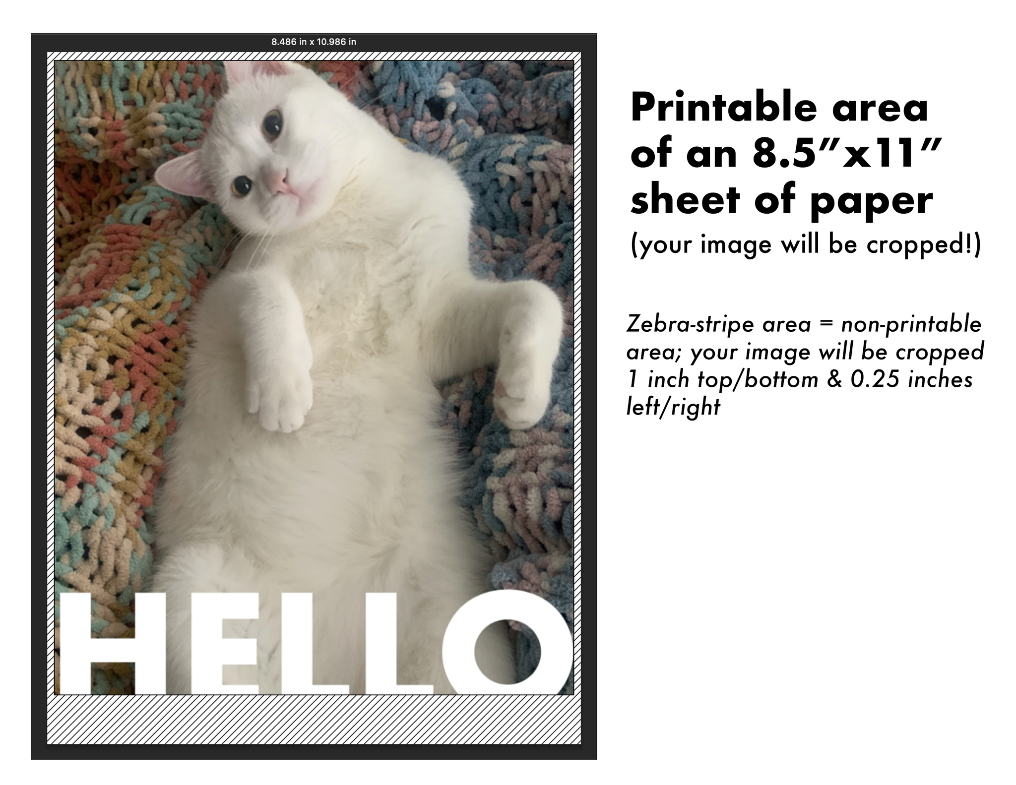 Printable area of an 8.5x11 sheet of paper