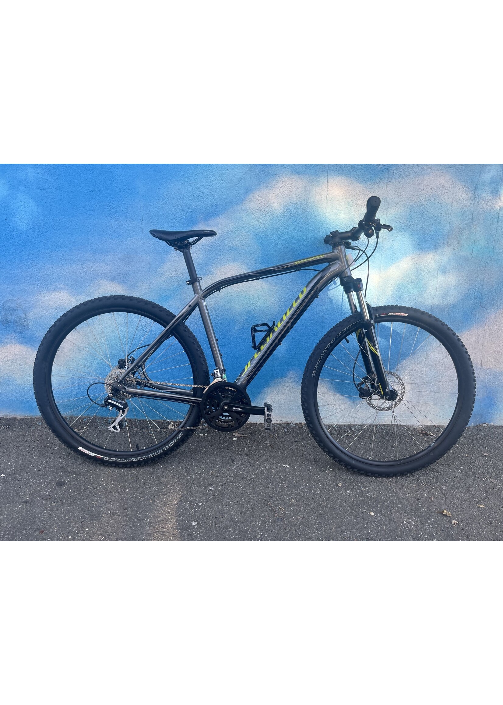 Specialized used Specialized Rockhopper 29er,  gray/yellow, XL 21"