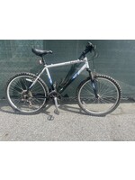 Raleigh Used Raleigh Mojave 2.0, silver/black/blue, medium