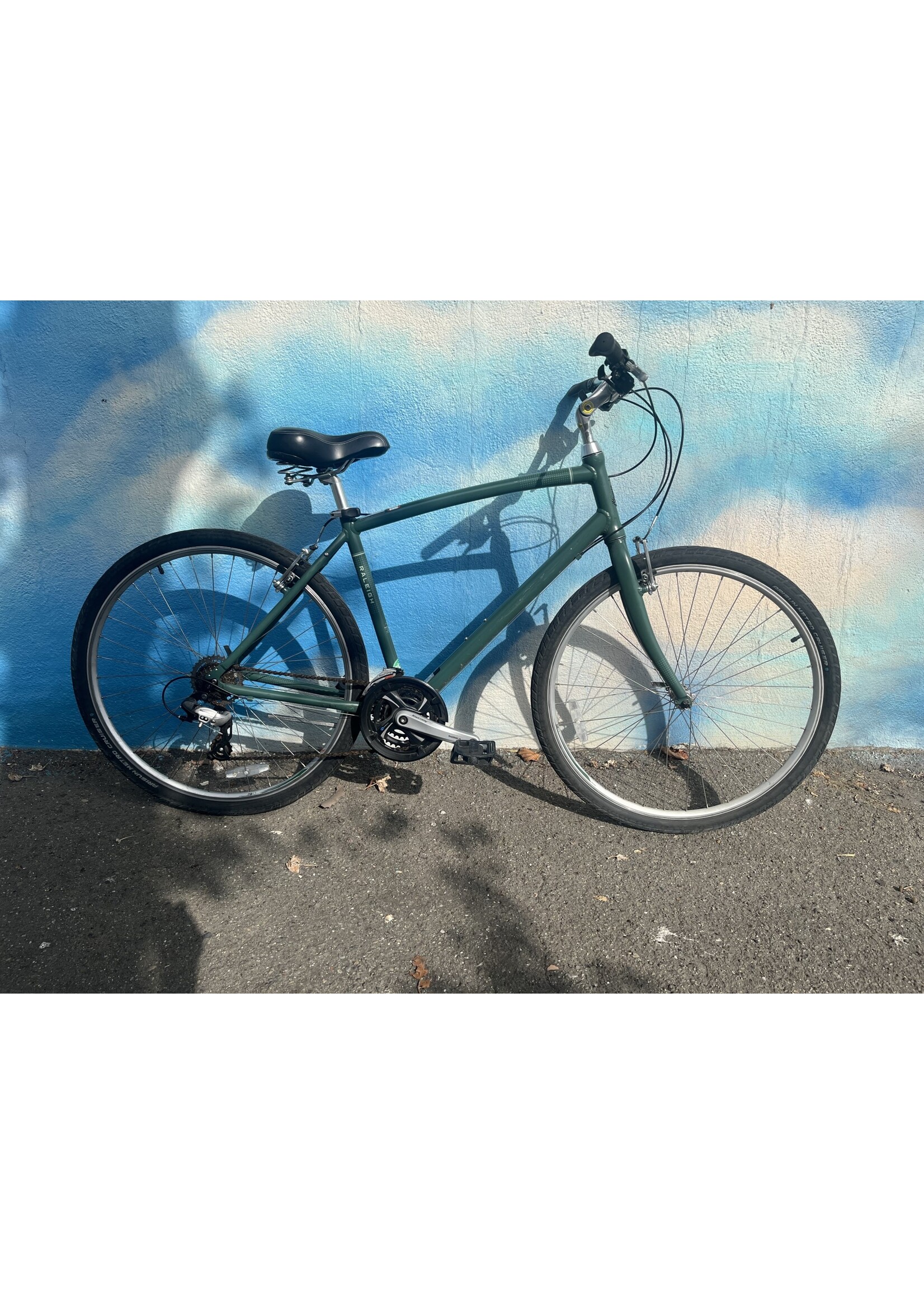 Raleigh used Raleigh Detour, green, large