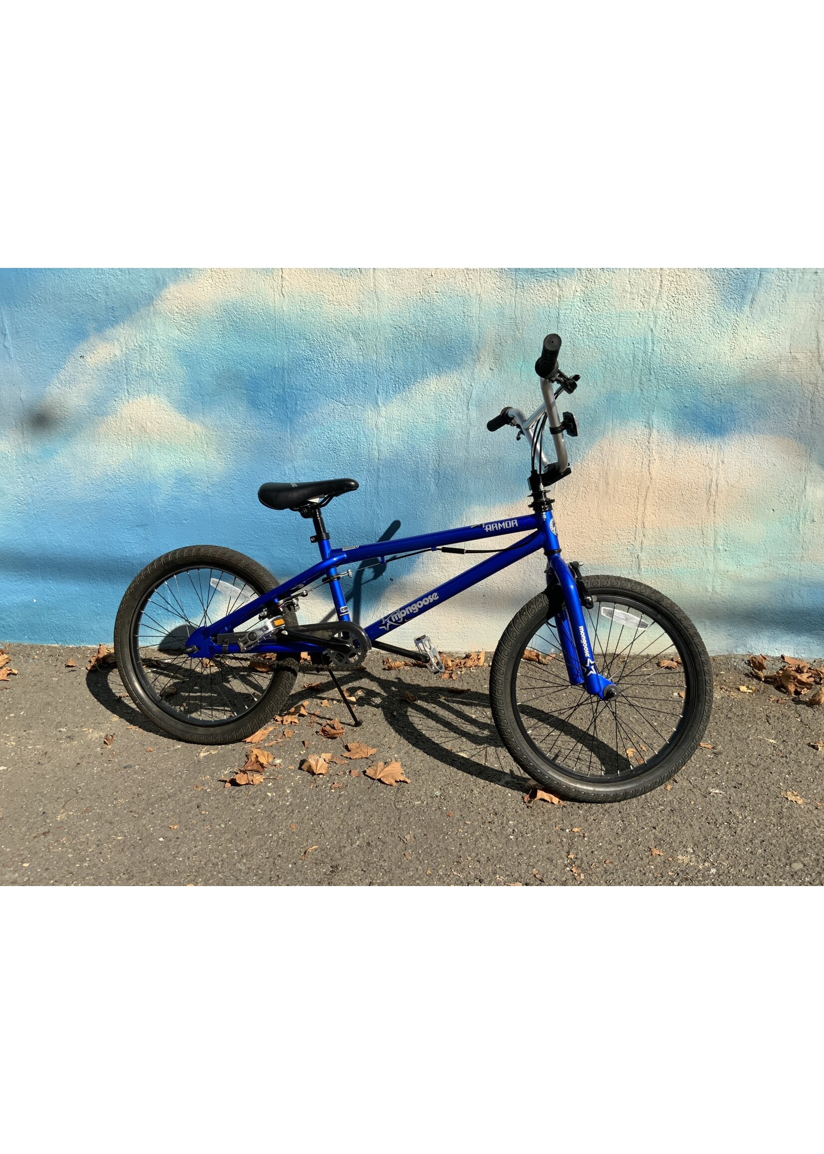used Mongoose Armor, blue, 20" wheel as-is