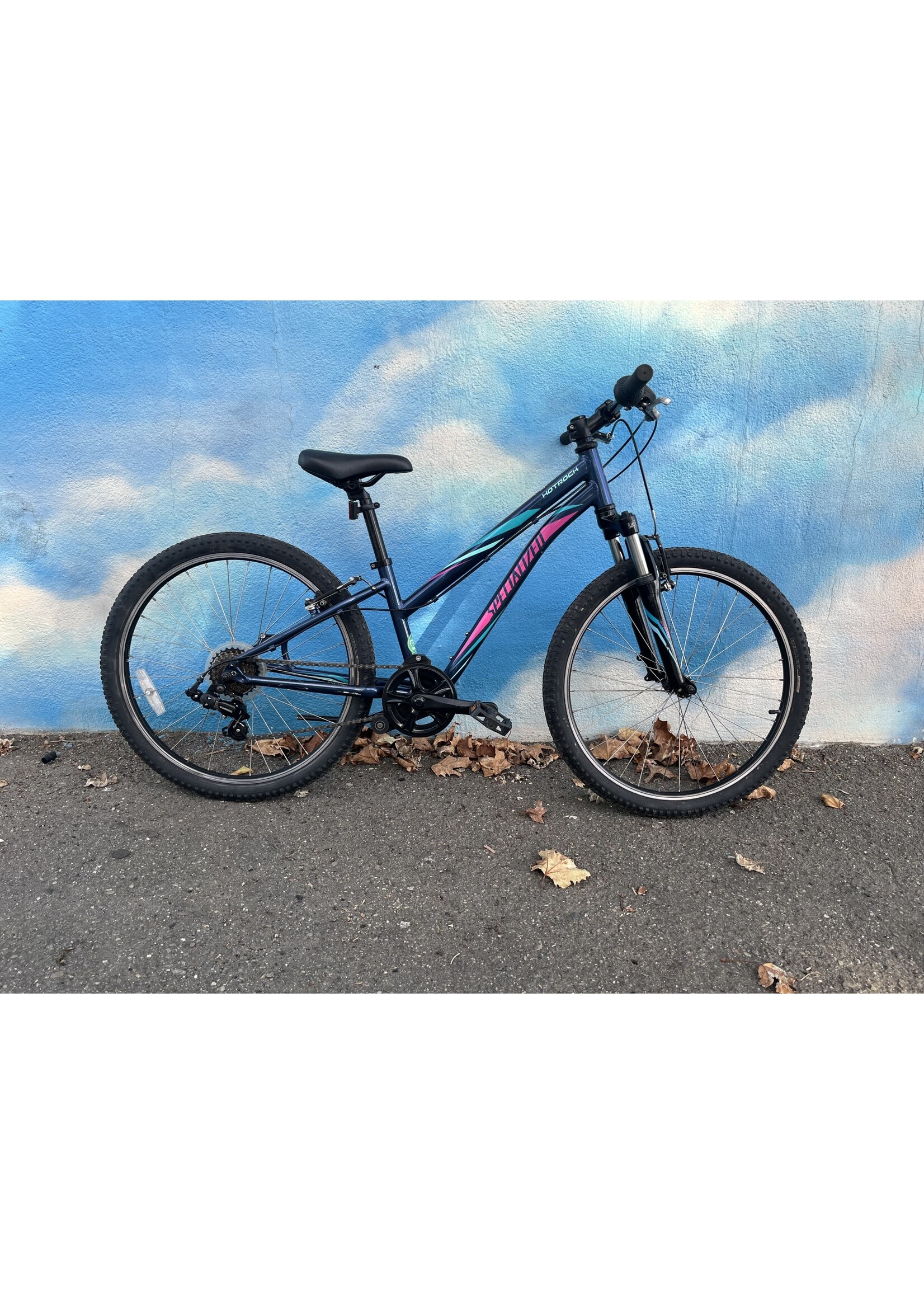 Specialized used Specialized Hotrock, blue