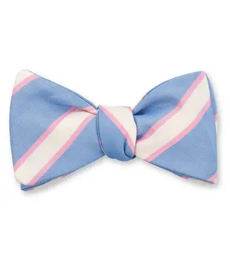 R. Hanauer Cobalt Dudley Stripes