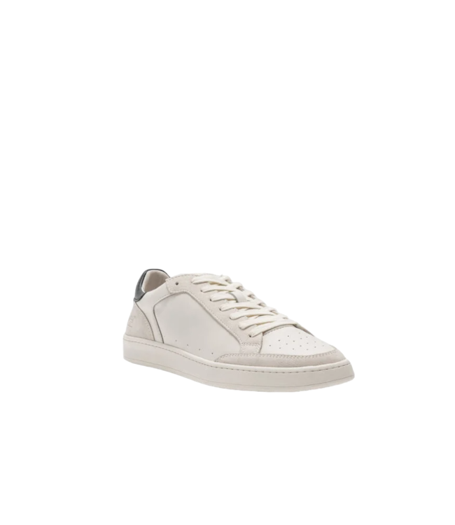 Sussex Street Sneaker