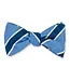 R. Hanauer Cobalt/Navy Crescent Stripes Bowtie