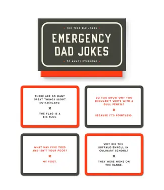 Hachette Emergency Dad Jokes