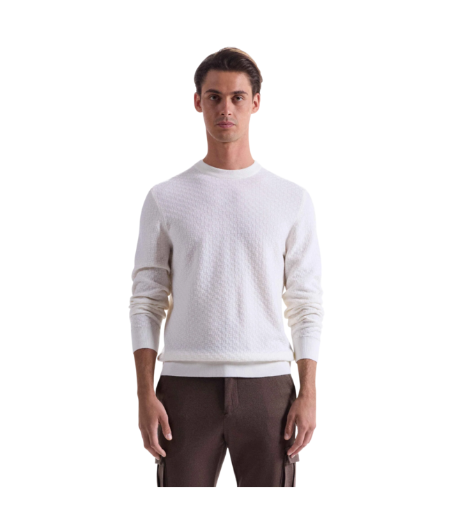 Bugatchi TS Crew Neck Sweater