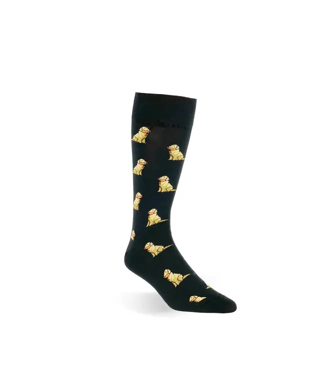 Gordon of New Orleans Golden Retriever Socks