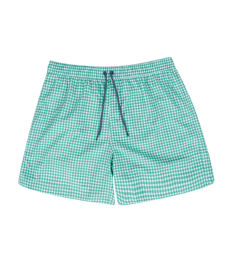 Turtleson Gingham Swim Short