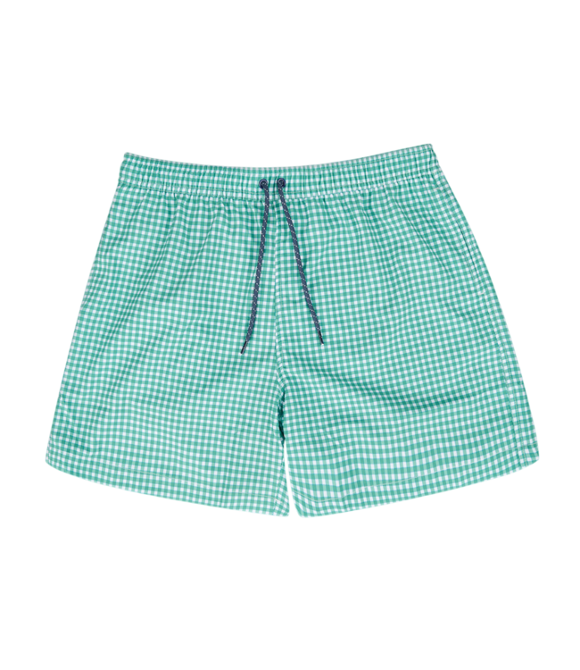 Turtleson Gingham Swim Short