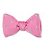 R. Hanauer Pink Mint Julep Bowtie