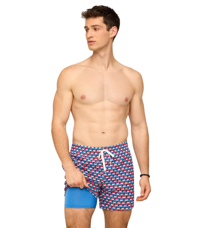 Chubbies The Blue Ridge Bliss 5.5" (Classic Lined Swim Trunk)