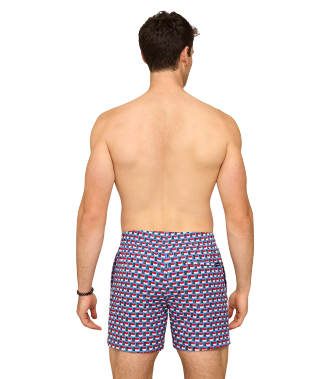 Chubbies The Blue Ridge Bliss 5.5" (Classic Lined Swim Trunk)
