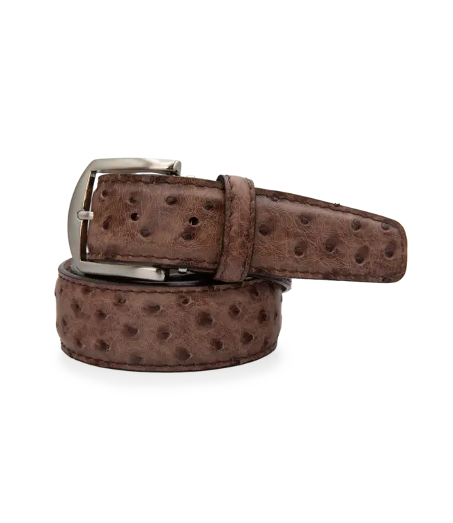 Quilled Ostrich Belt