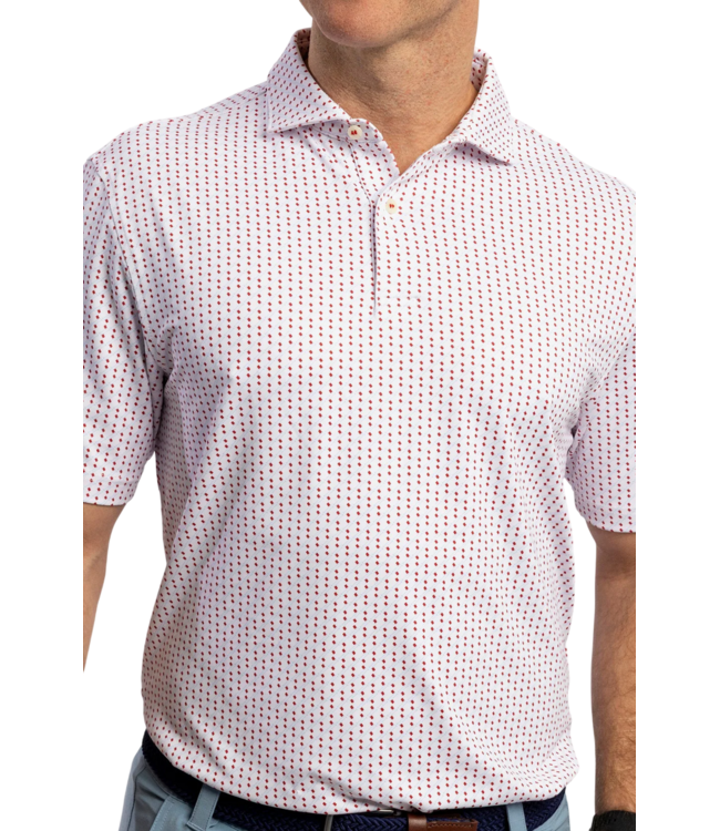 Turtleson Washington 2 Button Polo