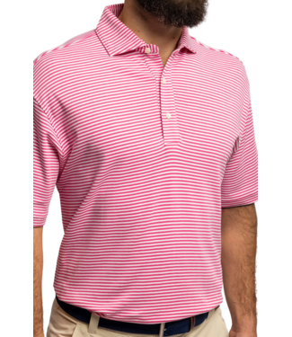 Turtleson Duncan Stripe Polo