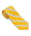R. Hanauer Brass/Cobalt Banks Stripe Tie