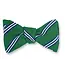R. Hanauer Kelly Green Brooks Stripe Bowtie