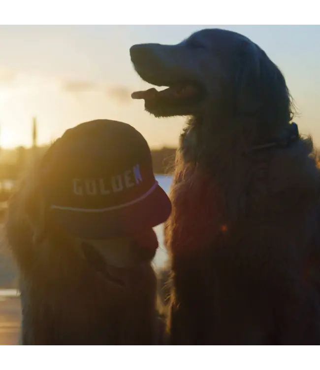 Golden Rope Hat