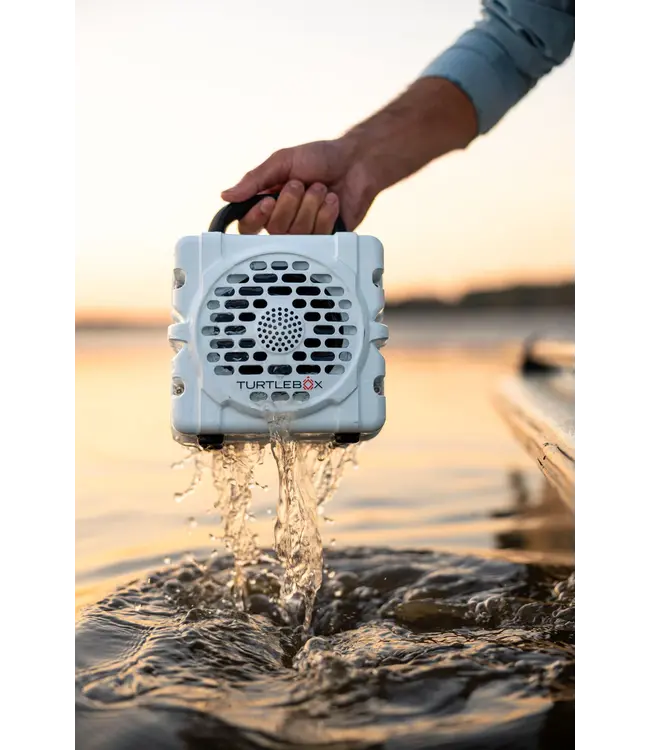 Cub Speaker