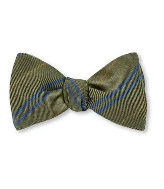 R. Hanauer Pea Green Ashley Stripes Stripes Bow Tie