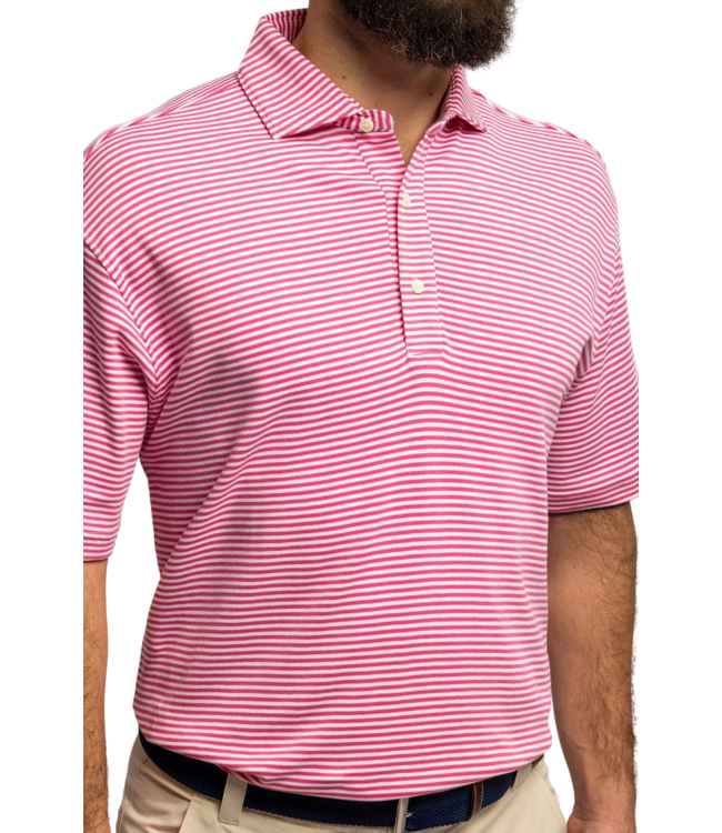 Duncan Stripe Cotton Polo - Azalea
