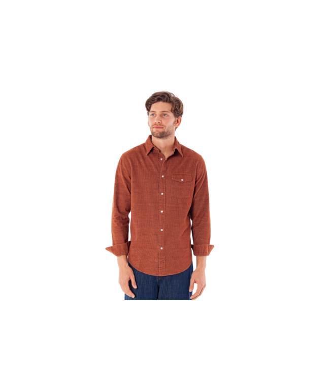 Criquet Corduroy Pearl Snap