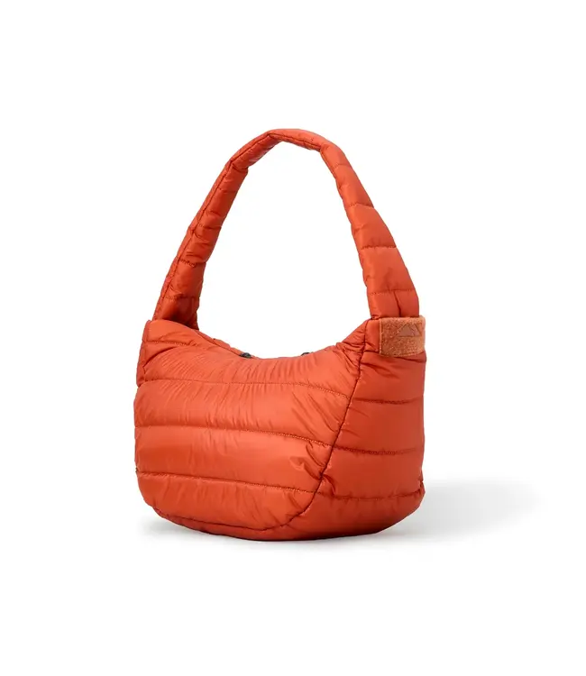 Monti Coolers - The Socialite