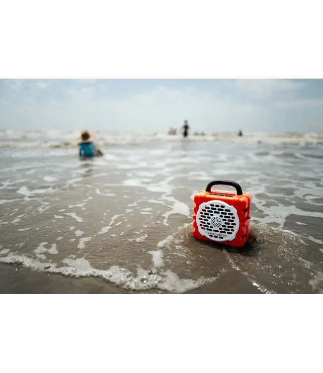 Cub Speaker