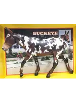 REEVES INTERNATIONAL (BREYER & COLLECTA) BREYER BUCKEYE