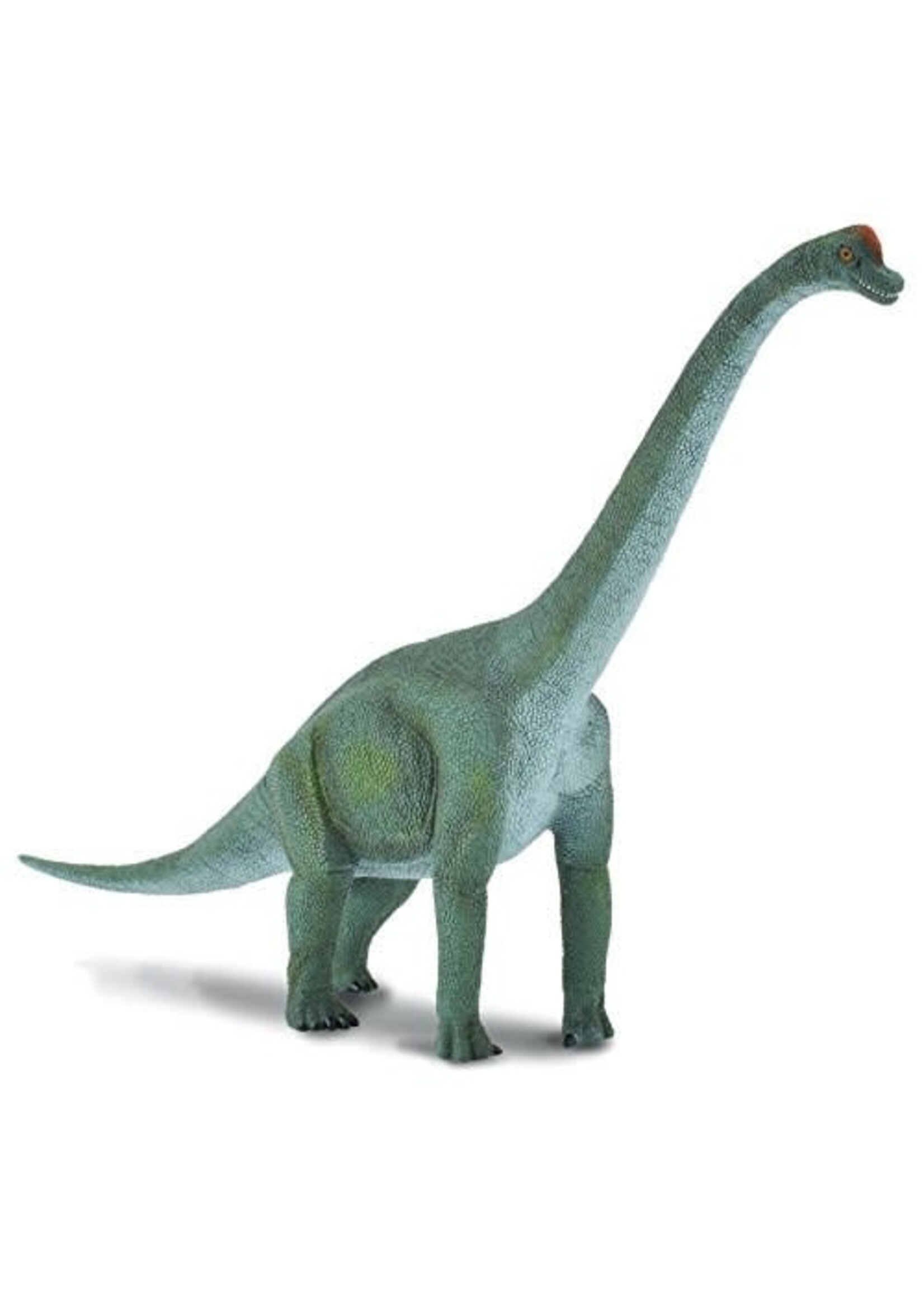 REEVES INTERNATIONAL (BREYER & COLLECTA) BREYER COLLECTA BRACHIOSAURUS