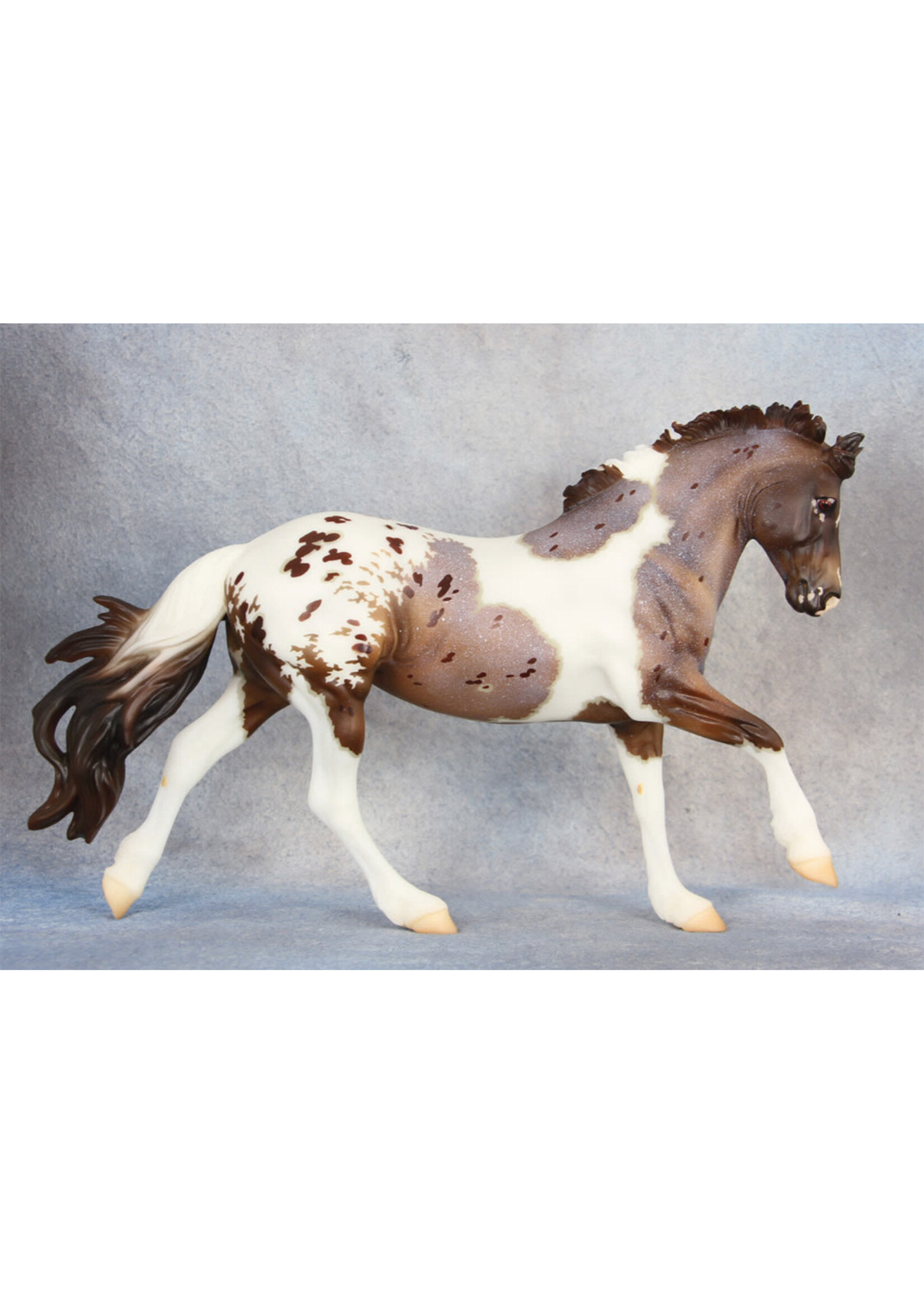 Red Dun Pintaloosa Red Dun Pintaloosa