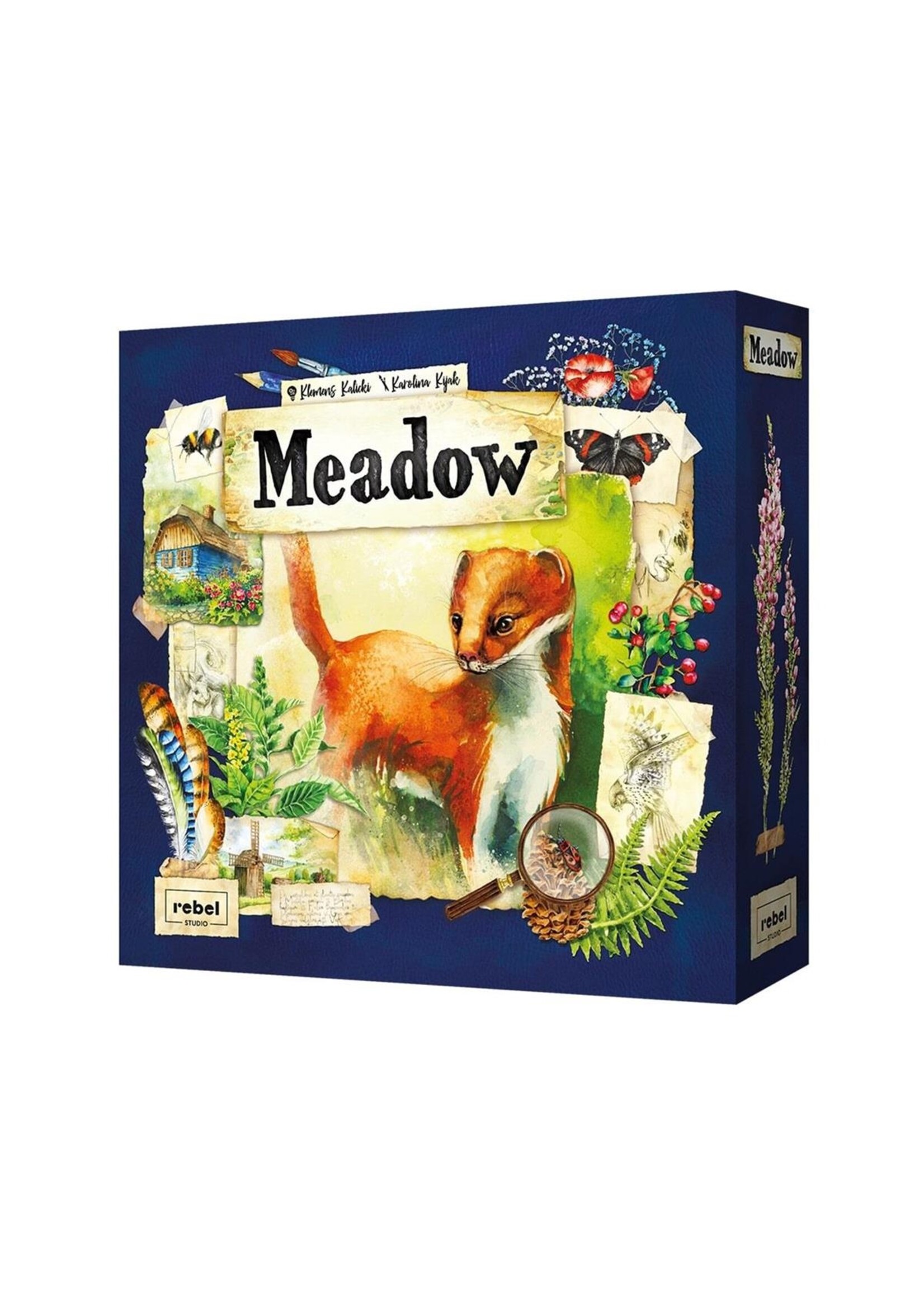 ASMODEE MEADOW