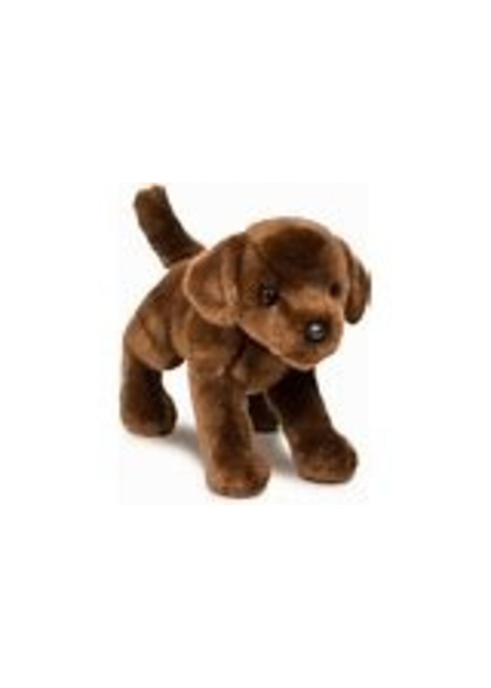 DOUGLAS PLUSH CHOCOLATE LAB C.C BEAN