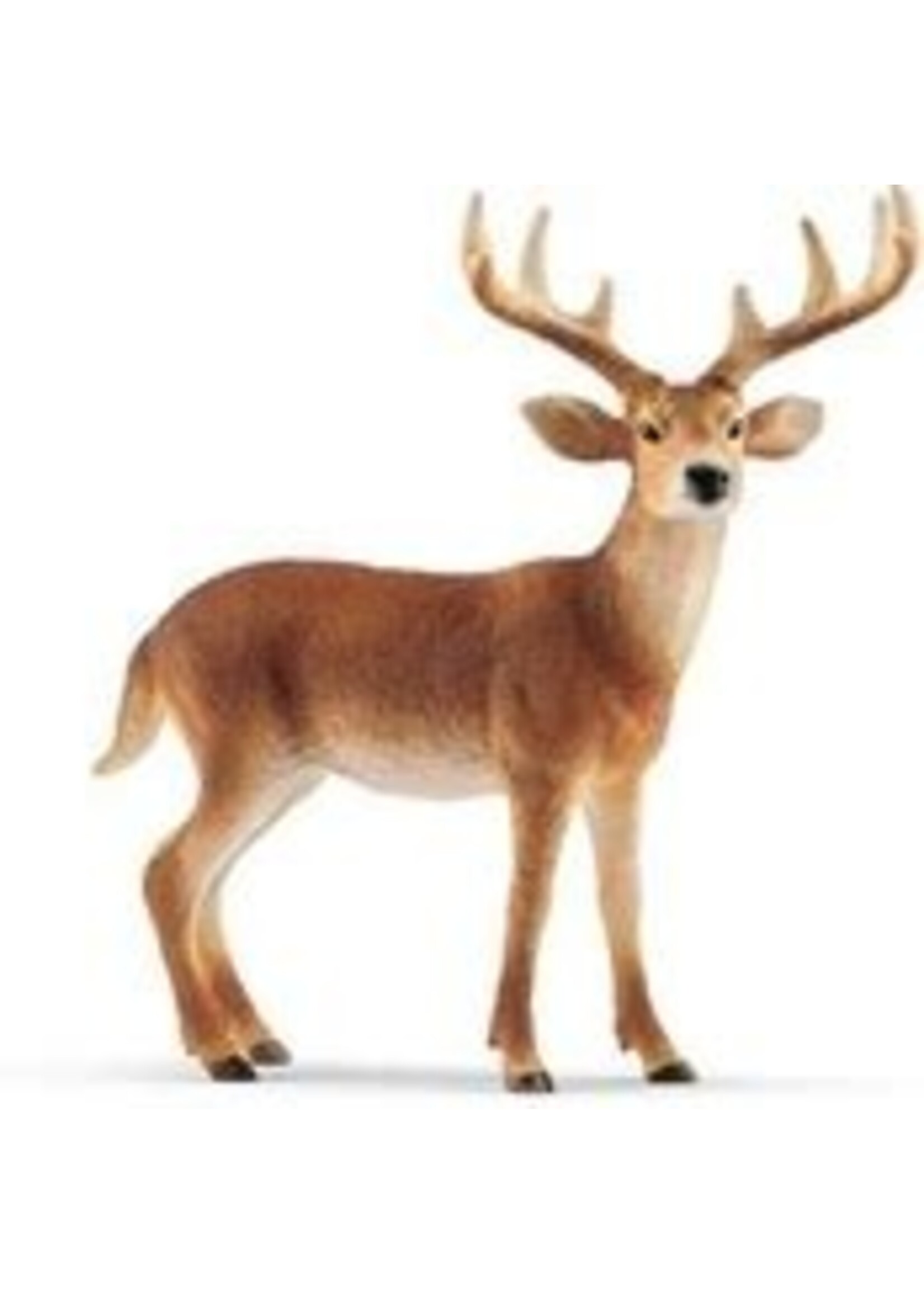 SCHLEICH SCHLEICH WHITE-TAILED BUCK