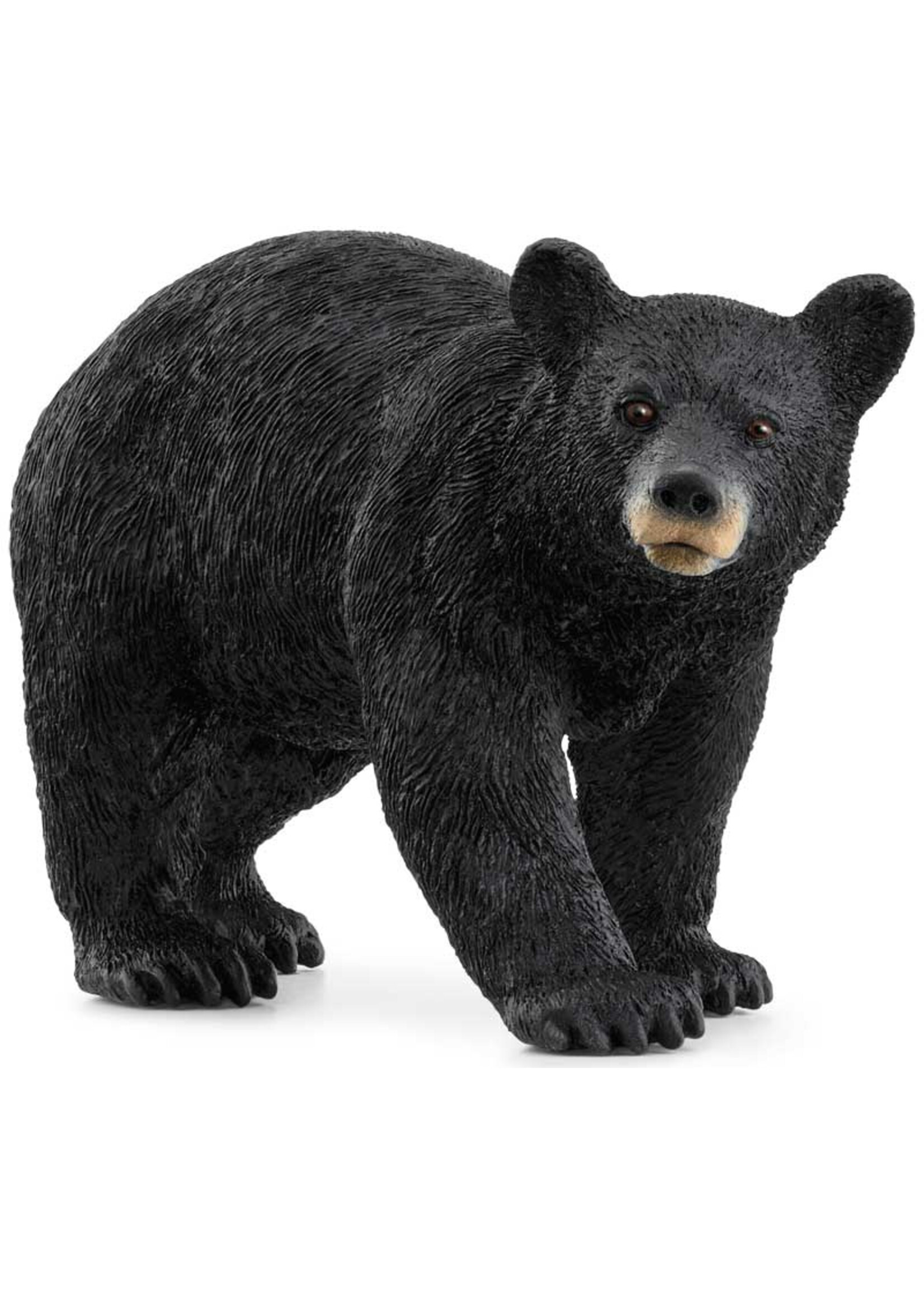 SCHLEICH SCHLEICH AMERICAN BLACK BEAR