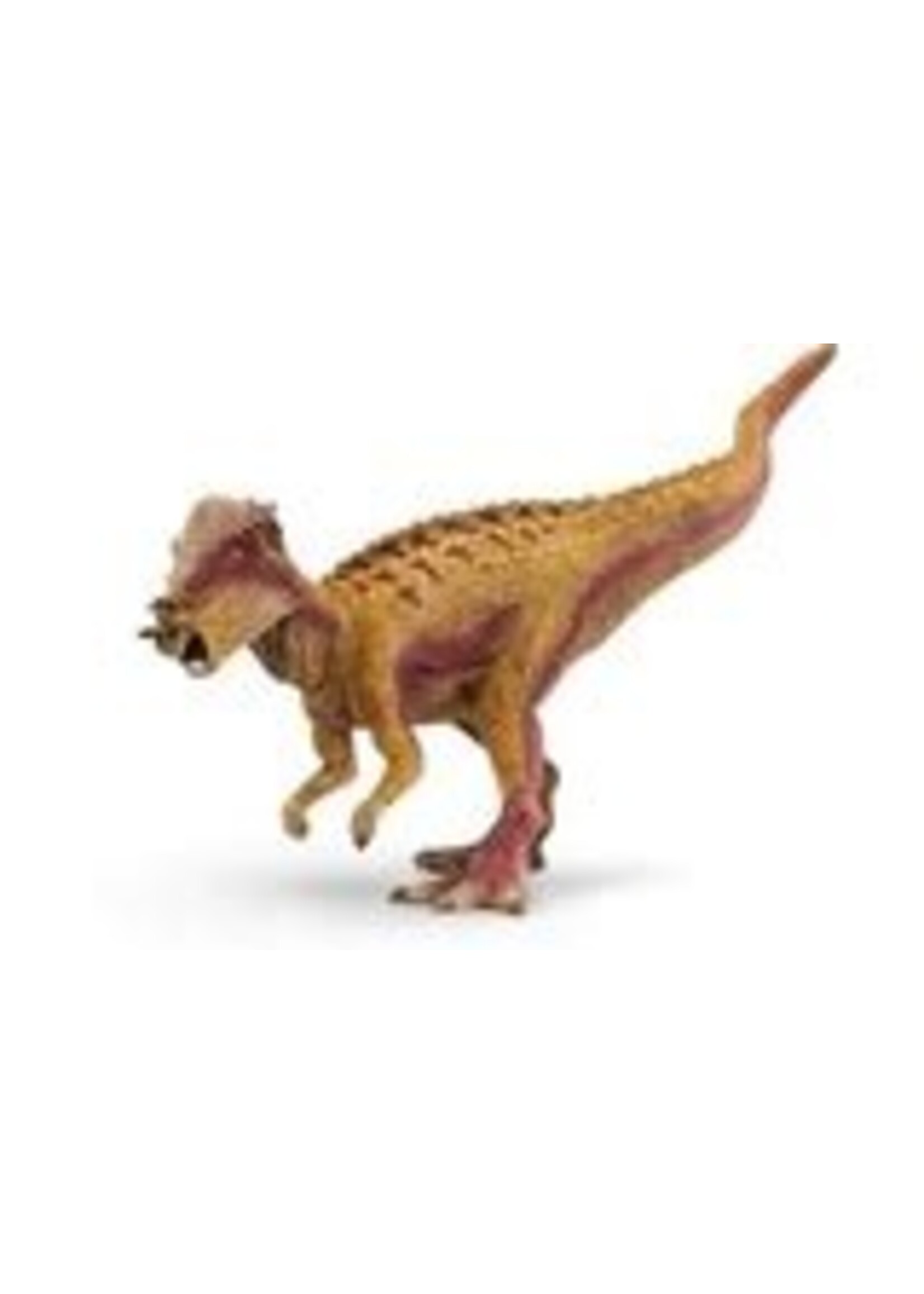 SCHLEICH SCHLEICH PACHYCEPHALOSAURUS