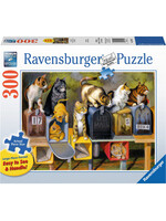 RAVENSBURGER PUZZLE 300 PCS CAT'S GOT MAIL